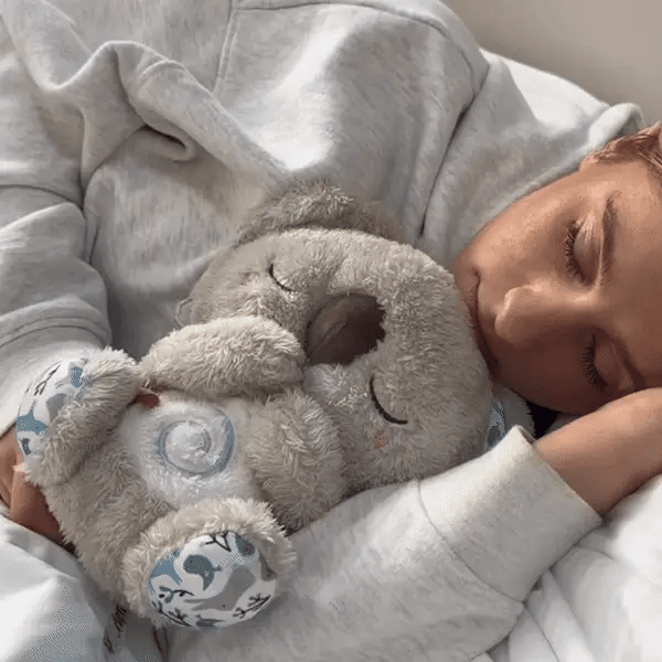 Koala Rilassante – Addormentati in piena serenità